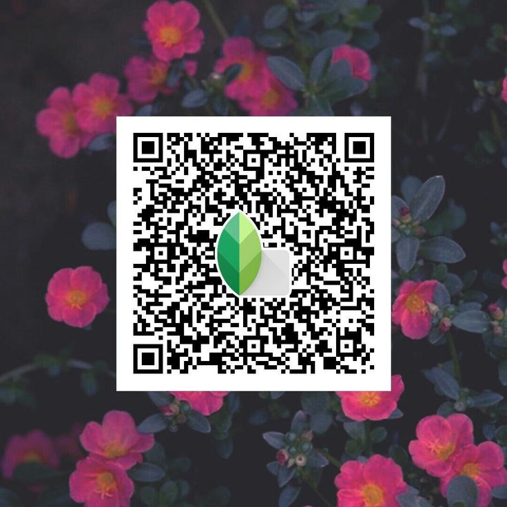 snapseed qr code